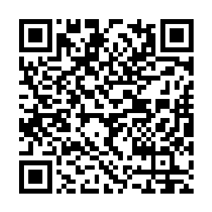 他想起自己得到阿难破戒刀法真意传承的轮回世界二维码生成