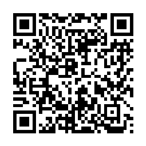 他想起贡献殿中黑白双壁上以贡献点为悬赏的那些任务二维码生成