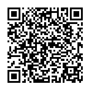 他感觉这辈子最正确的一件事就是当初把蛋圆圆留下来当了临时仓库管理员二维码生成