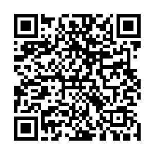 他或许是从秘剑使不同寻常的调动中嗅到了一丝诡秘的气息二维码生成