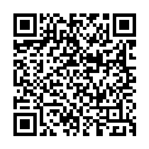 他所领悟的意志攻击比秦洛书和颜啸离两人的意志攻击强太多了二维码生成