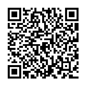 他手上的这五株冰晶藤并没有收到什么损伤依然是完好无损二维码生成