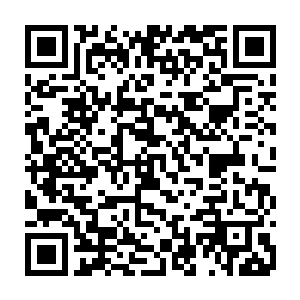 他手中的那一把造型奇特的武器的最尖端便擦过了高速退去的黄形的小腿二维码生成
