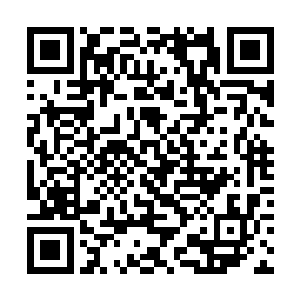 他才不信西门世家有能力在大庭广众之下将他弄走呢二维码生成