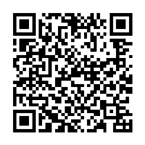 他才只动用了此剑阵的化血斩仙和神火焚仙两种威能而已二维码生成
