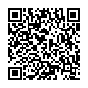 他把每一张清愈符都塞到巨蛟体内自己认为最重要的地方二维码生成