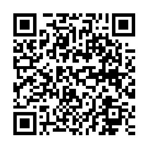 他把这样一个跟他此前的创作风格完全不一致的本子交给自己二维码生成