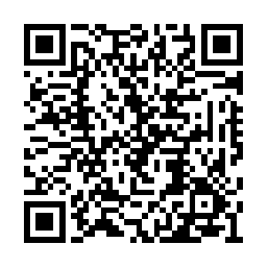 他支起身子看着流墨墨熟睡的小脸慢慢俯下身去二维码生成