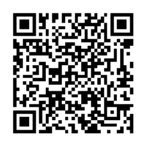 他整个手掌就如同被载重十吨的大卡车碾过了一般二维码生成