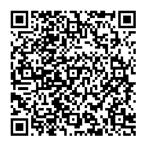他无数次脱掉了苍月身上的那件衣服……正是月仙霓裳……他也见过有一次月仙霓裳中走出了另外一个苍月……二维码生成