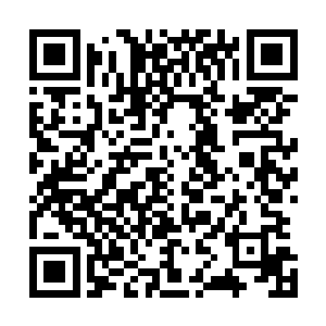 他无法推翻市委的决定而且还有责任让曾昭强选举顺利成功二维码生成