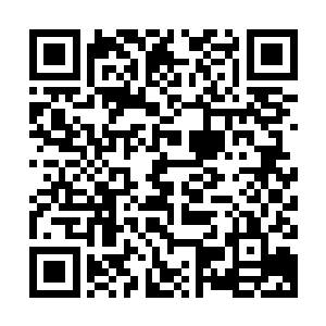 他早就通过陈诚的第一视角摸清了这家伙的刷野习惯和行进路线二维码生成