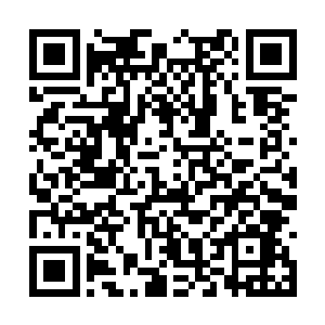 他明明看到的是张潇晗用丝线控制的是魔族的魔尊二维码生成