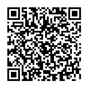 他有本事用一道军令或者一句话就让他所属的所有部下都忘记主簿是怎么死的二维码生成