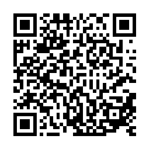 他根本不在乎动用神葬修罗气是否会对自己产生什么不利的影响二维码生成