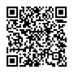 他根本没有办法分辨雨果这是开玩笑还是认真的二维码生成