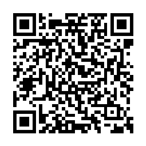 他正根据自己对上等神王丹的了解进行反复推衍二维码生成