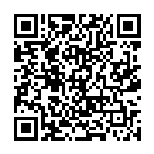 他气势嚣张地当着记者们的面在白板上写下了教父二维码生成