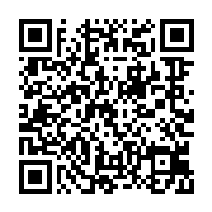 他没去找这家伙的麻烦就已经算是大人有大量了二维码生成