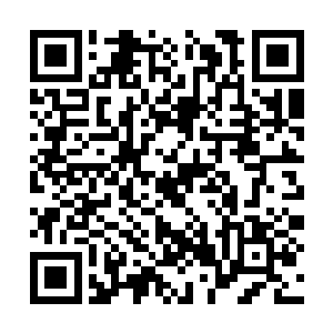 他没想到林辰的体内竟会拥有一股如此可怕的魔气二维码生成