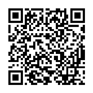 他没有想到这次许紫烟会如此轻易地破去了他的仙诀二维码生成