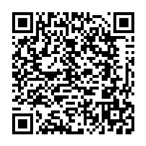他没有查验追究这个什么自由长老团是不是就百分百算那次恐怖袭击的幕后黑手二维码生成