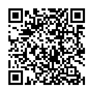 他没有看过她在洪流院和其他人的比试究竟是什么样的二维码生成