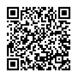 他浩浩荡荡的带着一众猴子下山再次来到深潭边二维码生成