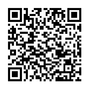 他淡漠的视线从白衣人脸上划过……就没有再理他了二维码生成