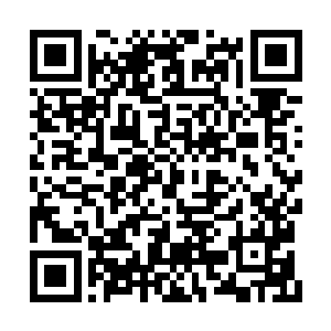他灵犬一族在荒芜之域也不过是一个小小的家族二维码生成