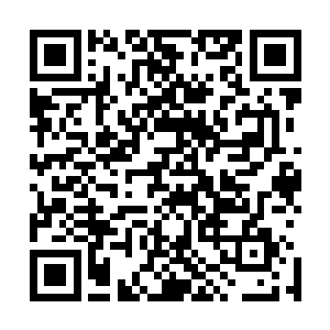 他现在已经将大殿四周所有的地方都完完全全的查看了一遍二维码生成