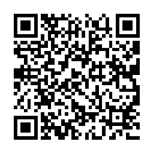 他现在想要抗衡炼化十六枚本命晶核的大圆满强者二维码生成