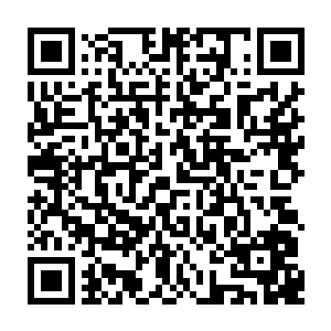 他现在的身份是一名光荣的伟大的要为朱雀中学的女生和陆朝歌做牛做马的教师二维码生成