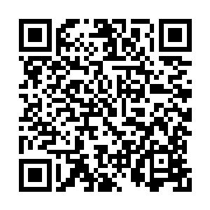 他现在真心觉得他真的是这个世界上最大的白痴二维码生成