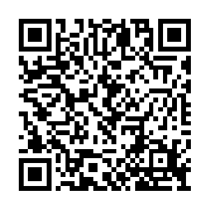 他现在继续强留下来截击秦方的心思也淡了许多二维码生成