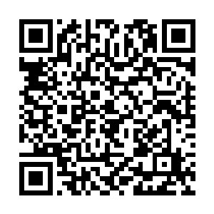 他现在能肯定的是当年的试管婴儿绝对有人动了手脚二维码生成