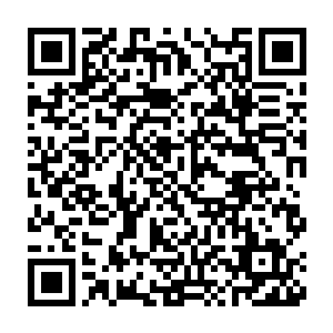 他甚至忘记了在这周天星斗大阵之中不能随意释放能量攻击的事情二维码生成