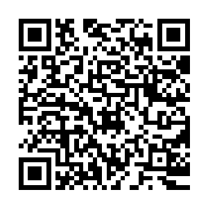 他甚至都在想象自己当上中队长怎么把红狐弄到床上恣意的爽了二维码生成