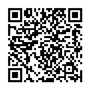 他生怕陈凌一冲动就像杀死金刀一样又把他老爹给杀了二维码生成