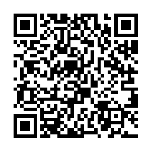 他用不了多久就会因为使用灵化境的力量而变得虚弱二维码生成