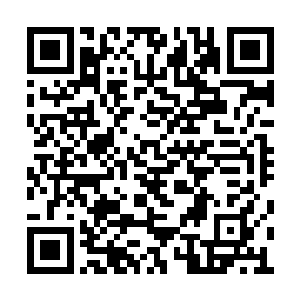 他的两条粗壮的腿就像是高速旋转的螺旋桨一样二维码生成