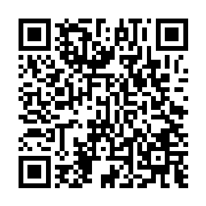 他的五根细长的手指如同钢托一般瞬间牢牢扣住了我的手二维码生成