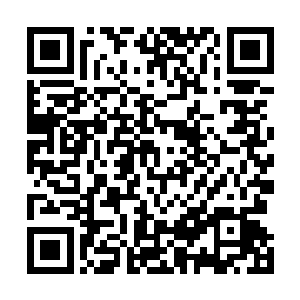 他的对手明显已经在进入系统前就进行过机甲实际操作了二维码生成