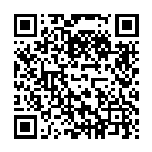 他的意思已经表达的相当清楚了……只是他从兜里掏出了手机二维码生成