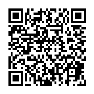 他的攻击对于七星死灵王的精神体没有半点用处二维码生成