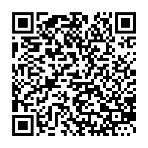 他的族人没有把他当作粮食直接剁了用盐腌上带走就已经算是有情有义二维码生成