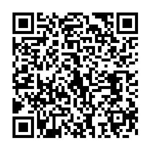 他的神国迟早会因为承受不住杨凌那机械神国的猛烈轰击而支离破碎的二维码生成