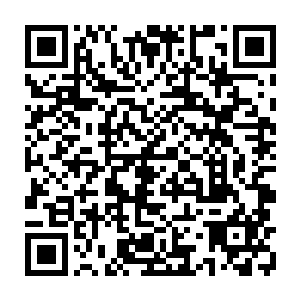他的突兀闯入让房间里的已经快被撕成碎片啃噬殆尽的众人看到一线生机二维码生成