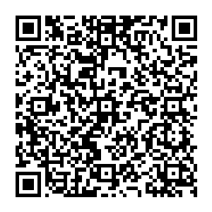 他的脑子里总是出现那个长着一嘴白牙的少年吐蕃人开朗的笑着把一枚白色的玉珏拍在自己手里二维码生成