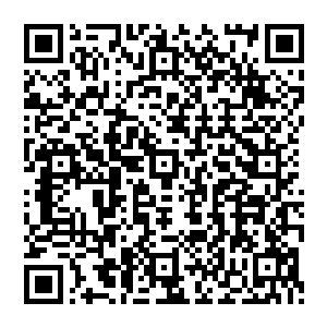 他的骨头就这么一节一节被震碎……他加上去的技能在这股力量前如巨浪中的小舟一样被吞没二维码生成